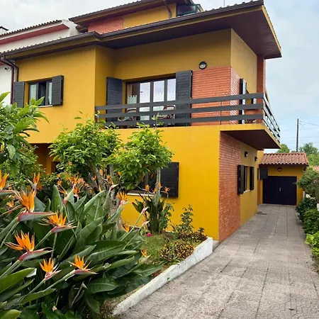 Yellow House